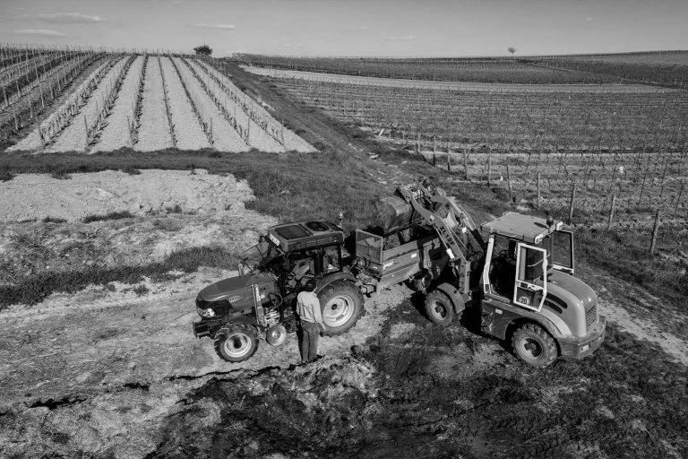Bagger schüttet Erde auf Traktor Anhänger von Terra Preta Weingut Rheinhessen